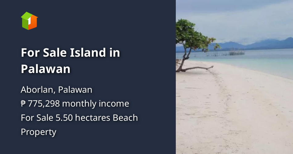 For Sale Island in Palawan [Beach Property 🏖️] (April 2024) in Aborlan