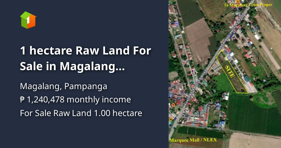 1 hectare Raw Land For Sale in Magalang Pampanga [Lot 🚜] (September