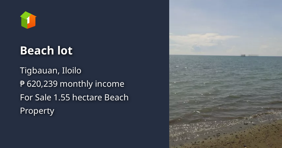 Beach lot [Beach Properties 🏖️] (May 2022) in Tigbauan, Iloilo for sale