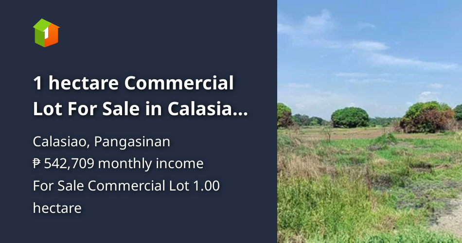 1 hectare Commercial Lot For Sale in Calasiao Pangasinan [Lot 🚜] (September 2024) in Calasiao