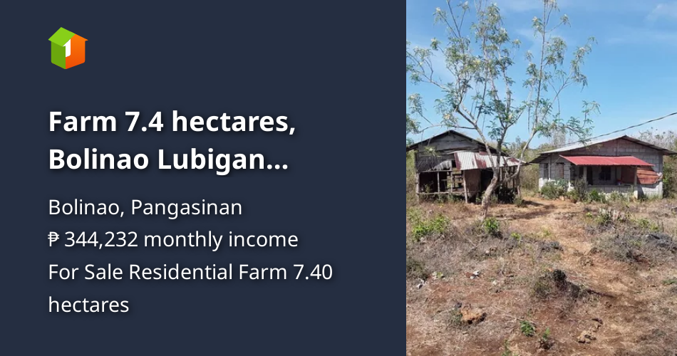 Farm 7.4 hectares, Bolinao Lubigan (Cabuyao) [Lot 🚜] (July 2024) in