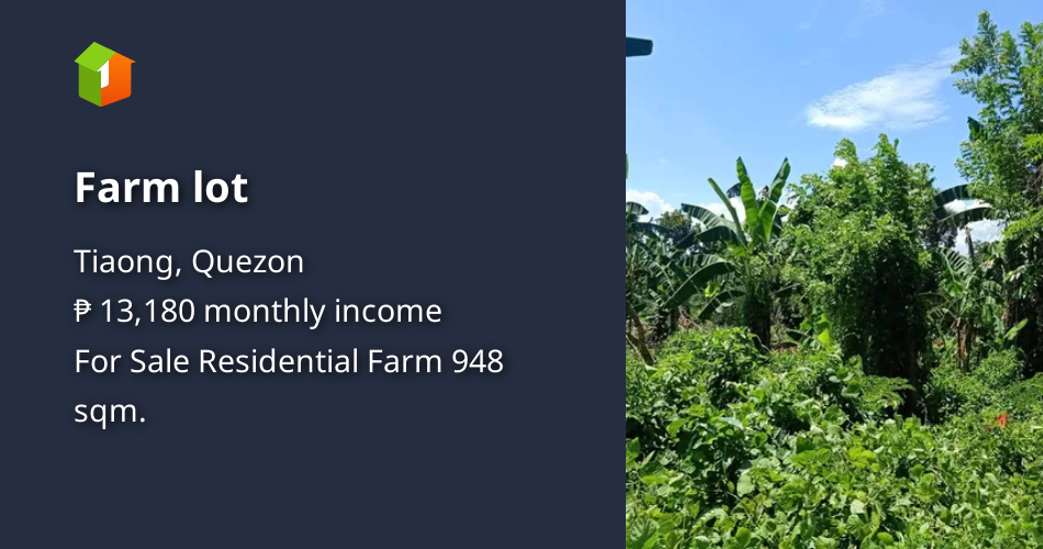 Farm lot [Lot 🚜] (June 2022) in Tiaong, Quezon for sale