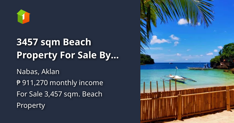 3232 sqm Beach Property For Sale By Owner in Nabas Aklan [Beach