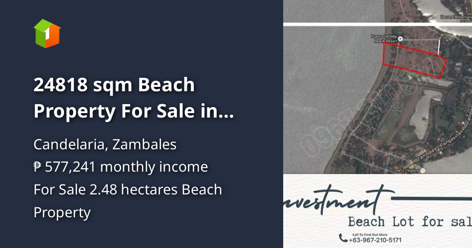 24818 sqm Beach Property For Sale in Candelaria Zambales [Beach