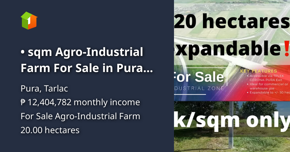200000 sqm AgroIndustrial Farm For Sale in Pura Tarlac [Lot 🚜] (July