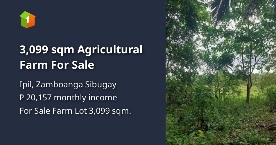 3,099 sqm Agricultural Farm For Sale [Lot 🚜] (April 2024) in Ipil, Zamboanga Sibugay for sale