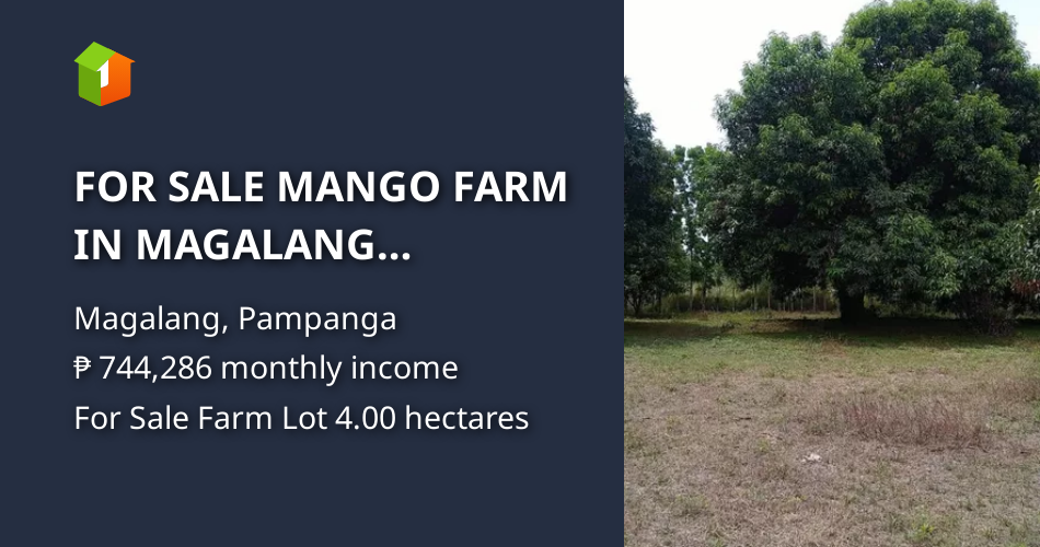 FOR SALE MANGO FARM IN MAGALANG PAMPANGA NEAR TOWN PROPER [Lot 🚜