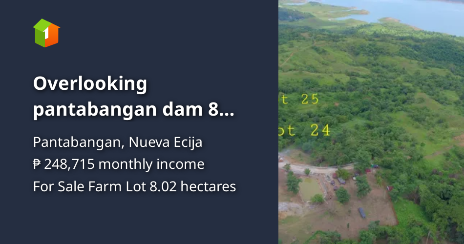 Overlooking pantabangan dam 8 hectares 3 tct titles.road frontage [Lot