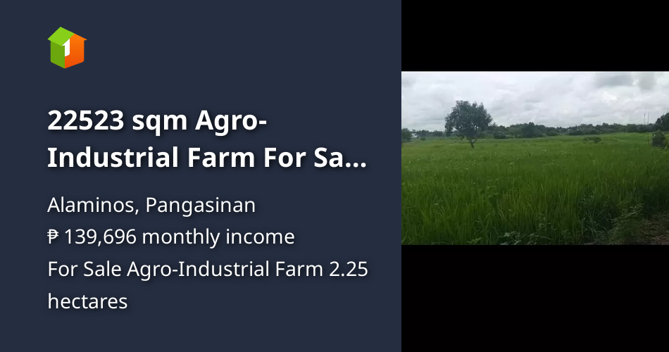 22523 sqm AgroIndustrial Farm For Sale in Alaminos Pangasinan [Lot 🚜