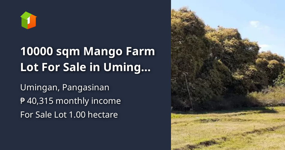 10000 sqm Mango Farm Lot For Sale in Umingan Pangasinan [Lot 🚜] (July
