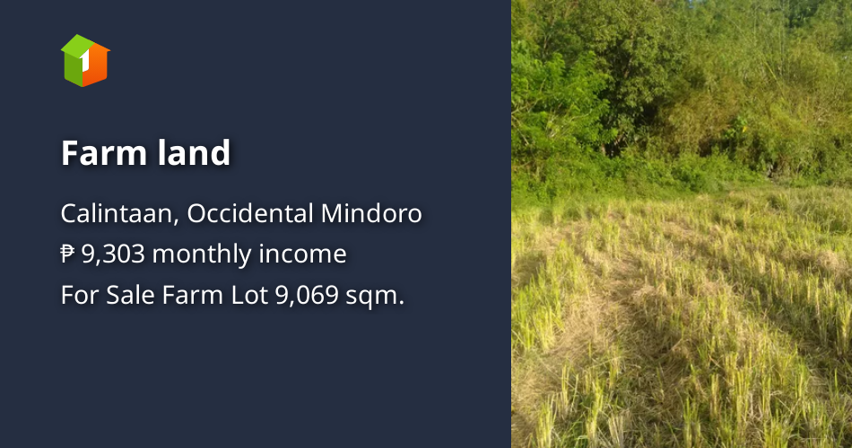 Farm land [Lot 🚜] (December 2022) in Calintaan, Occidental Mindoro for sale