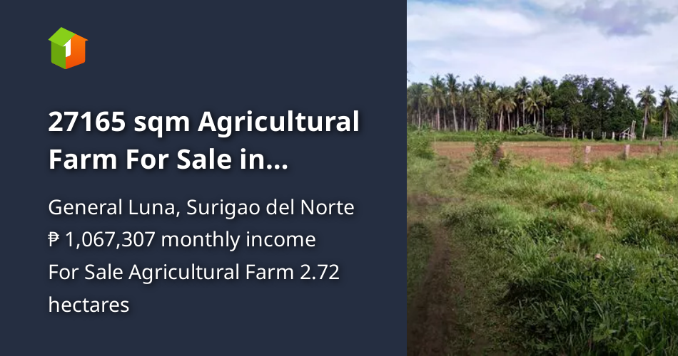 27165 sqm Agricultural Farm For Sale in Siargao Island [Lot 🚜 ...