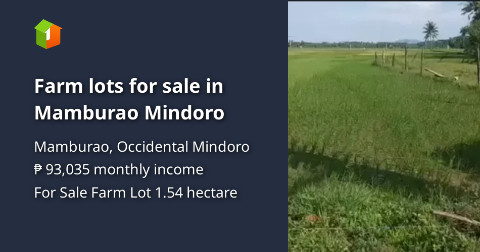 Farm lots for sale in Mamburao Mindoro [Lot 🚜] (September 2023) in