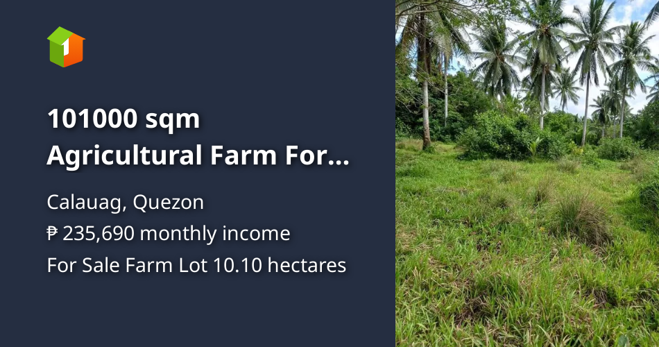 101000 sqm Agricultural Farm For Sale By Owner in Calauag Quezon [Lot 🚜