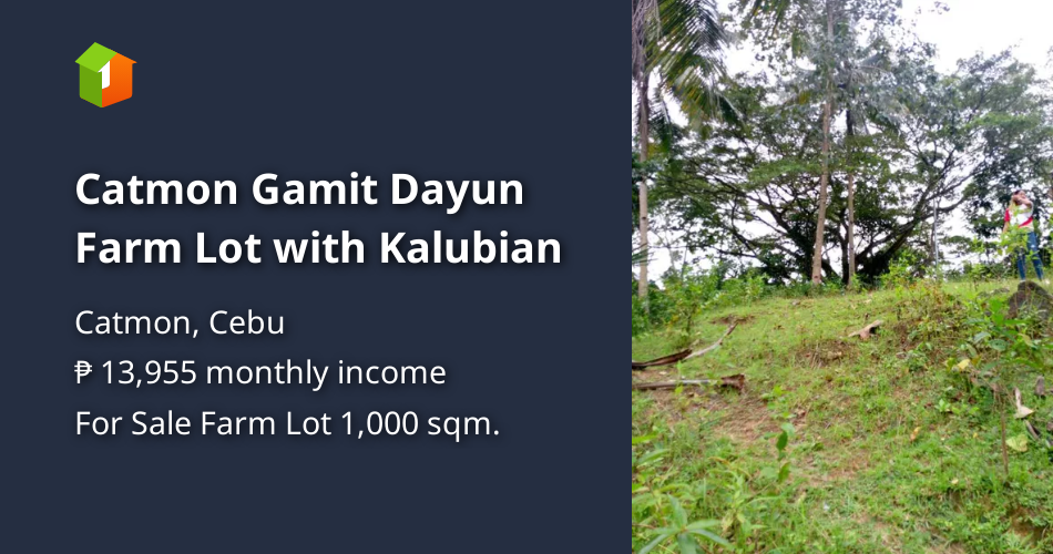 Catmon Gamit Dayun Farm Lot with Kalubian [Lots 🚜] (October 2024) in