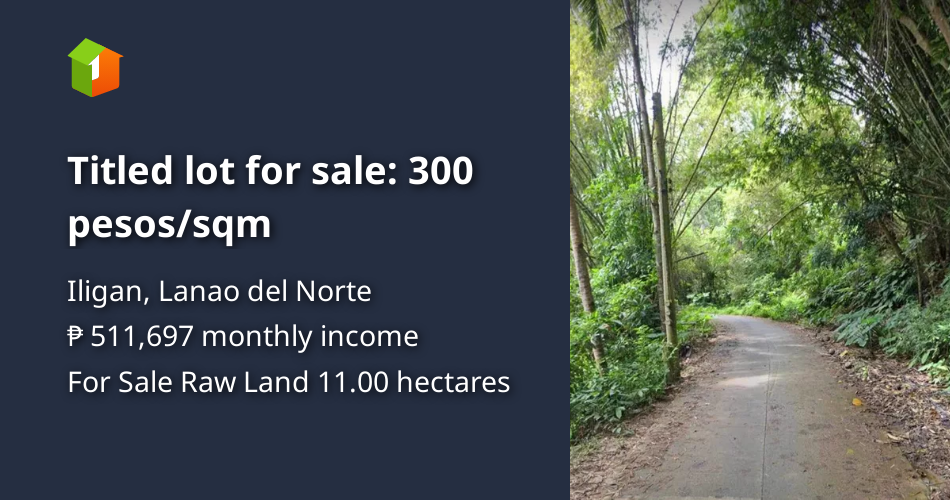 Titled lot for sale 300 pesos/sqm [Lots 🚜] (October 2024) in Iligan
