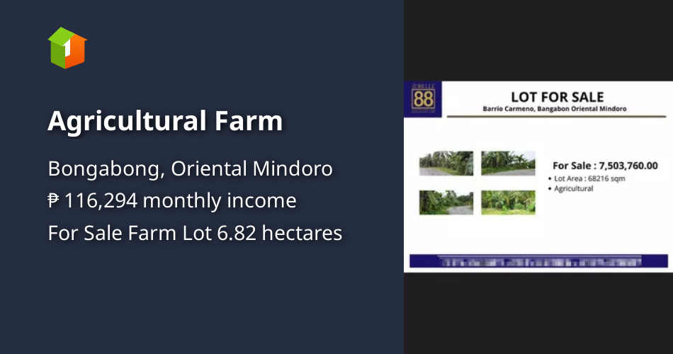 Agricultural Farm [Lot 🚜] (April 2023) in Bongabong, Oriental Mindoro