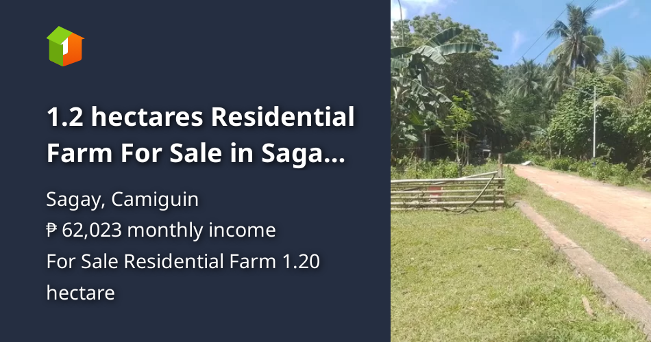 1.2 hectares Residential Farm For Sale in Sagay Camiguin [Lot 🚜] (December 2023) in Sagay