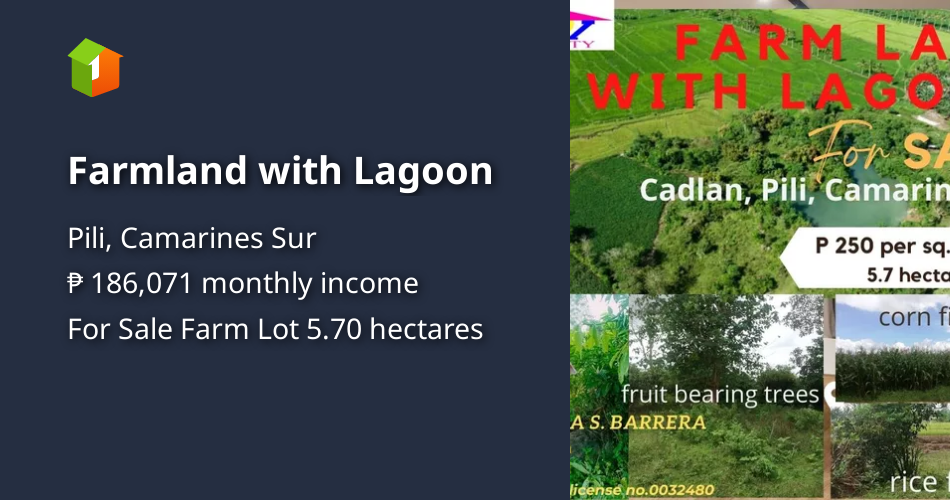 Farmland with Lagoon [Lot 🚜] (September 2023) in Pili, Camarines Sur