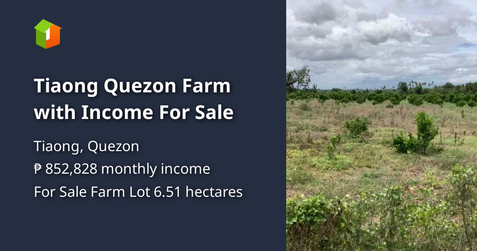 Tiaong Quezon Farm with For Sale [Lot 🚜] (November 2023) in