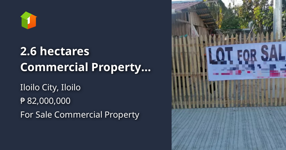 2.6 hectares Commercial Property For Sale in Brgy Gines Zarraga Iloilo ...