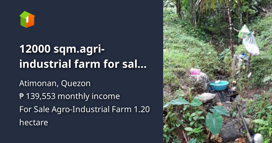 12000 sqm.agriindustrial farm for sale in atimonan quezon. [Lot 🚜