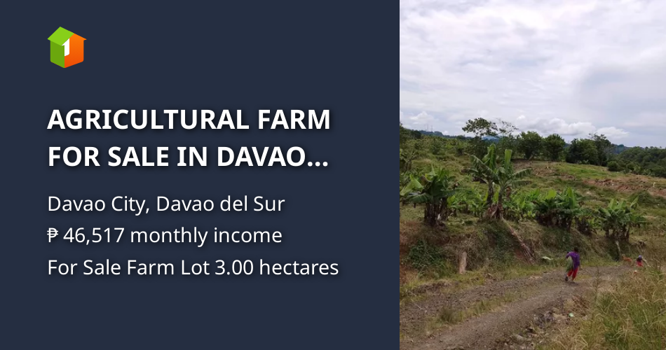 AGRICULTURAL FARM FOR SALE IN DAVAO CITY!! [Lots 🚜] (January 2023) in