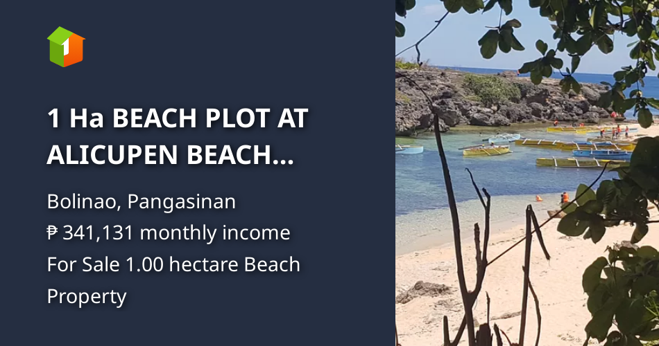 1 Ha BEACH PLOT AT ALICUPEN BEACH BORDER BETWEEN BANI & BOLINAO [Beach