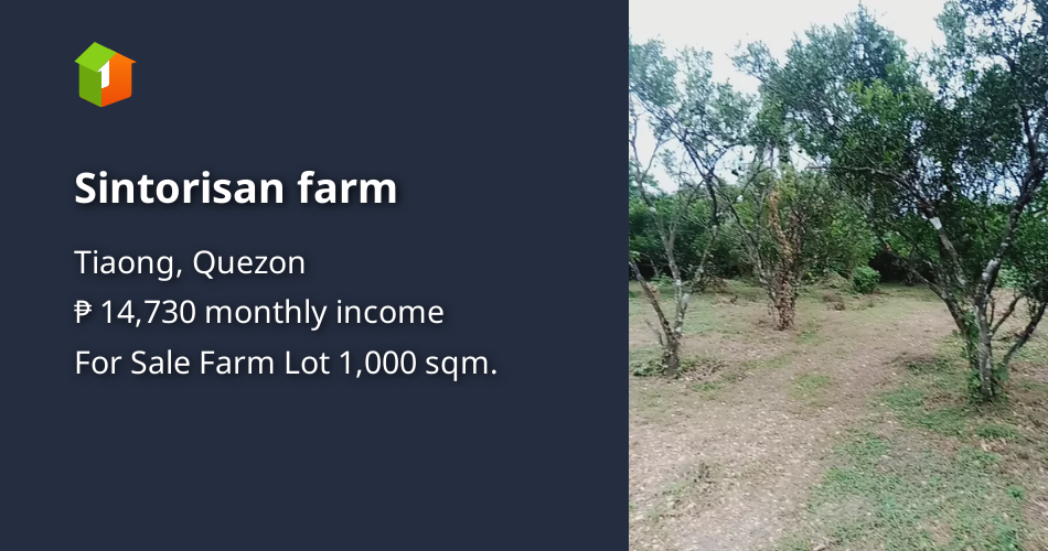 Sintorisan farm [Lot 🚜] (May 2023) in Tiaong, Quezon for sale