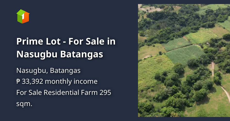 Prime Lot For Sale in Nasugbu Batangas [Lot 🚜] (July 2023) in Nasugbu