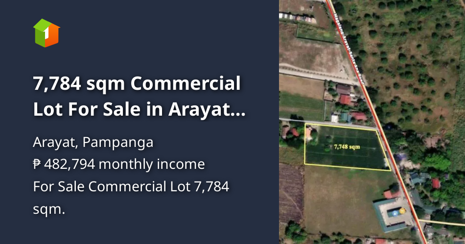 7,784 sqm Commercial Lot For Sale in Arayat Pampanga [Lot 🚜] (February 2024) in Arayat, Pampanga