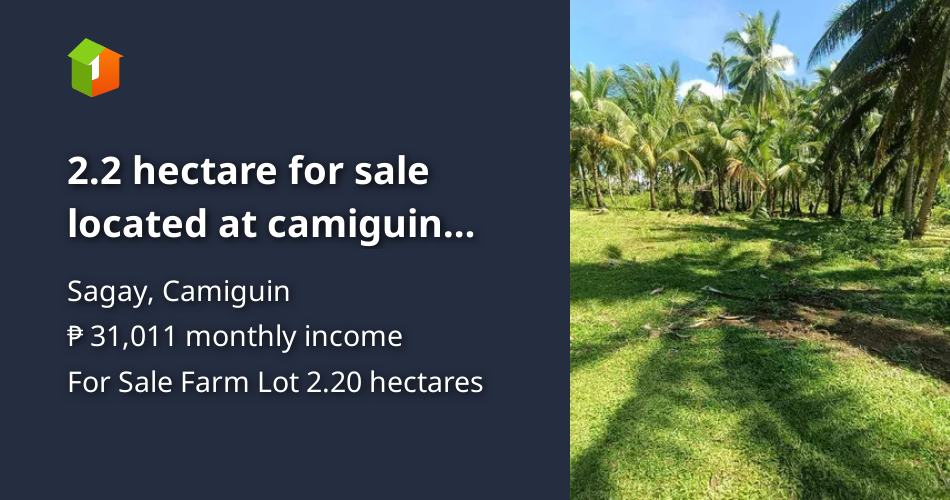 2.2 hectare for sale located at camiguin island [Lot 🚜] (December 2023
