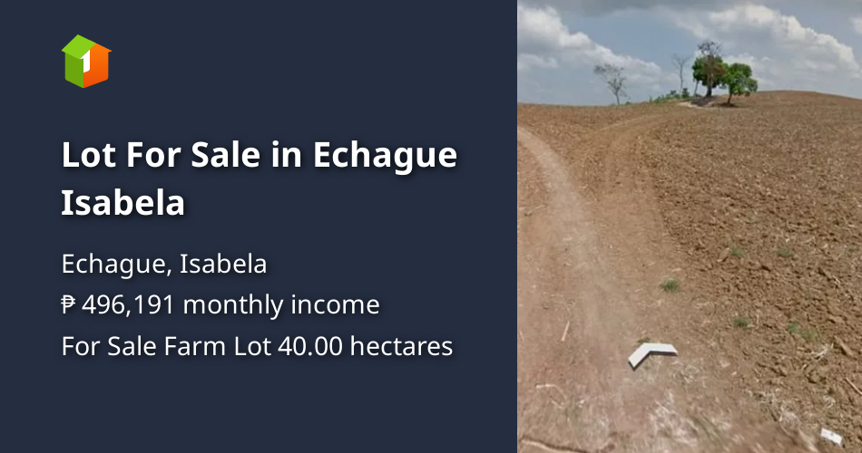 Lot For Sale in Echague Isabela [Lot 🚜] (February 2022) in Echague, Isabela for sale FSBO