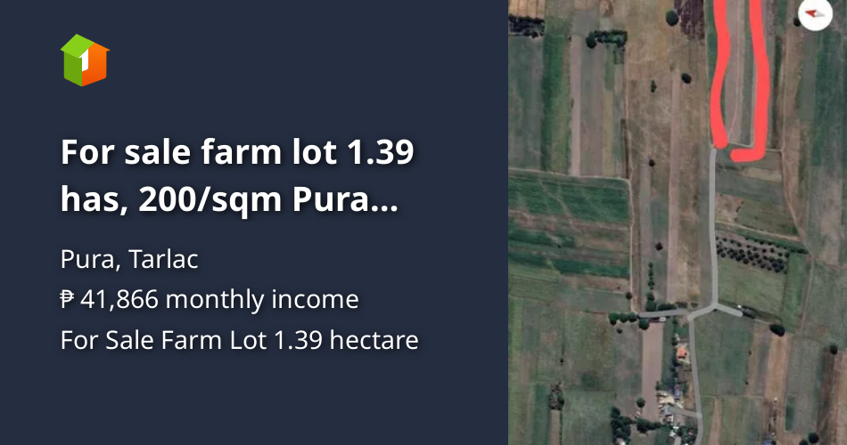 For sale farm lot 1.39 has, 200/sqm Pura tarlac [Lot 🚜] (February 2024