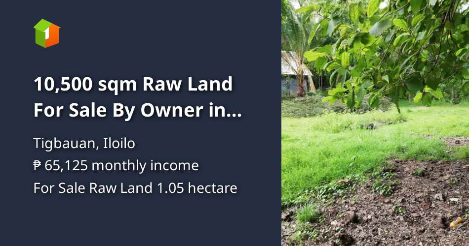 10,500 sqm Raw Land For Sale By Owner in Tigbauan Iloilo [Lot 🚜