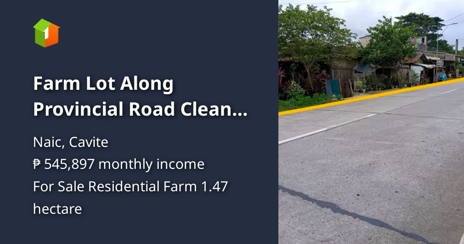 Farm Lot Along Provincial Road Clean Title Naic Cavite [Lot 🚜