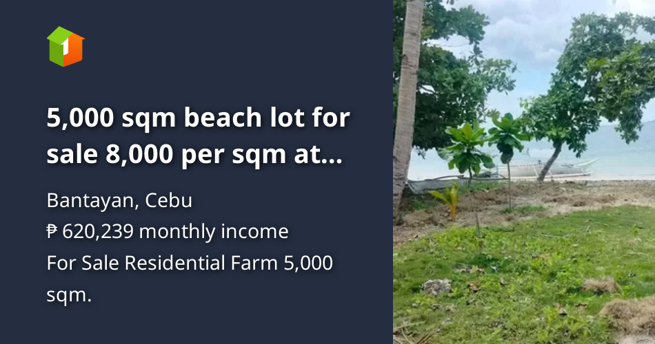5,000 sqm beach lot for sale 8,000 per sqm at Bantayan Island [Lot 🚜