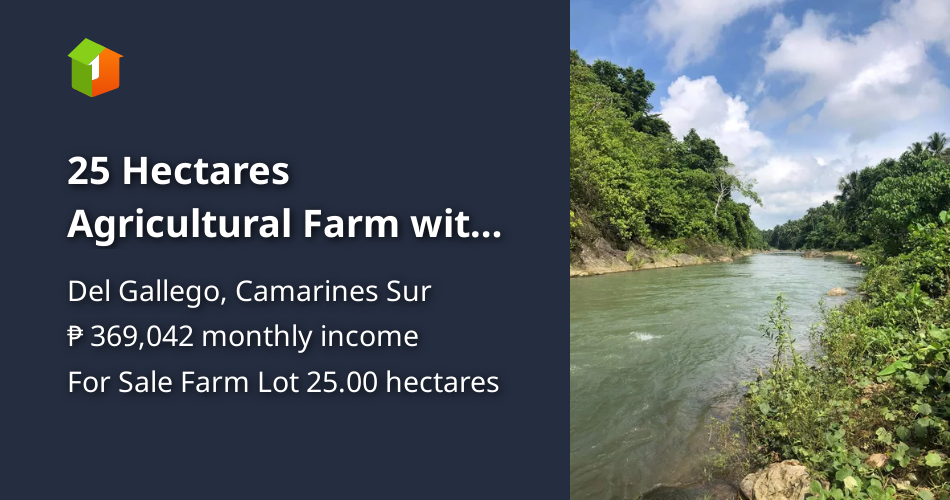 25 Hectares Agricultural Farm For Sale in Del Gallego Camarines Sur