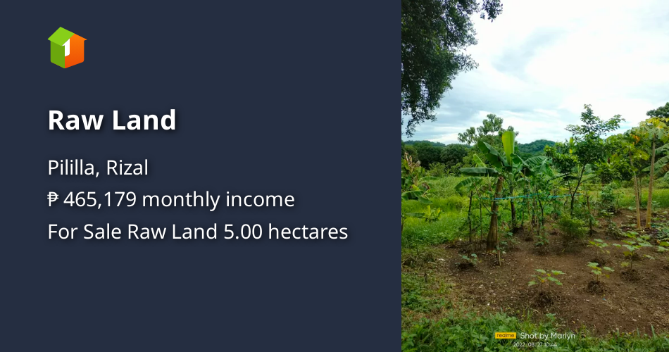 Raw Land [Lot 🚜] (September 2022) in Pililla, Rizal for sale