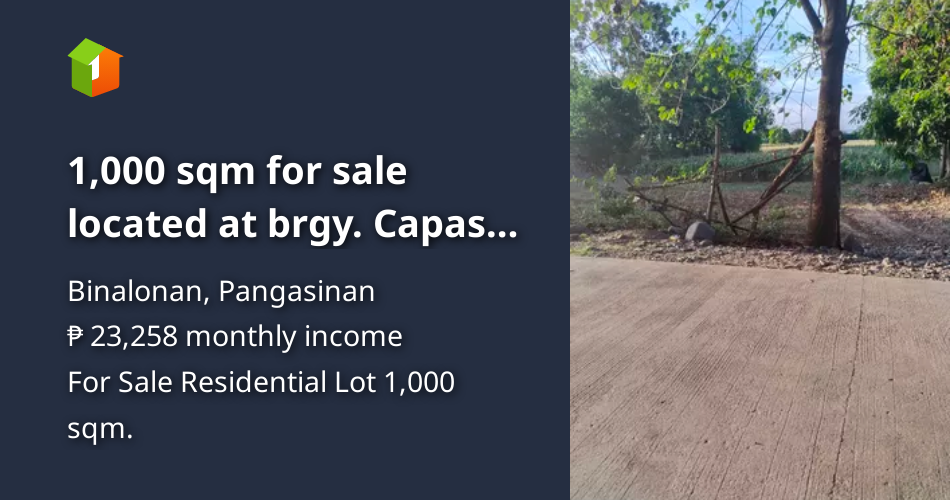 1,000 sqm for sale located at brgy. Capas Binalonan, Pangasinan [Lot 🚜