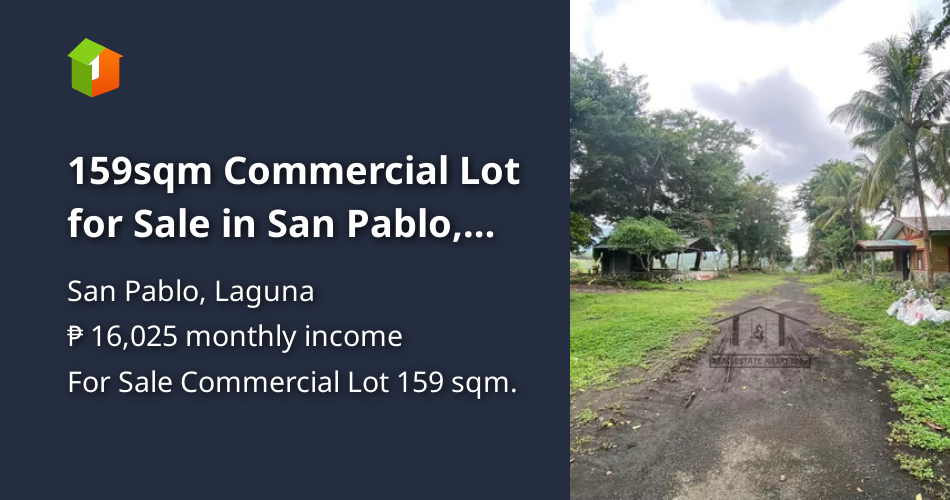 159sqm Commercial Lot for Sale in San Pablo, Laguna [Lot 🚜] (March 2024
