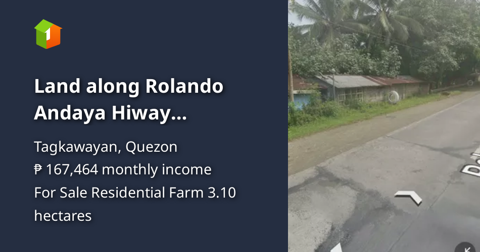 Land along Rolando Andaya Hiway Tagkawayan Quezon near Bicol [Lot 🚜