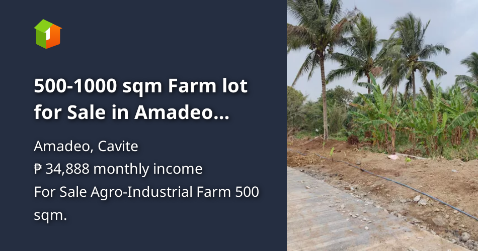 5001000 sqm Farm lot for Sale in Amadeo Cavite [Lot 🚜] (September 2023