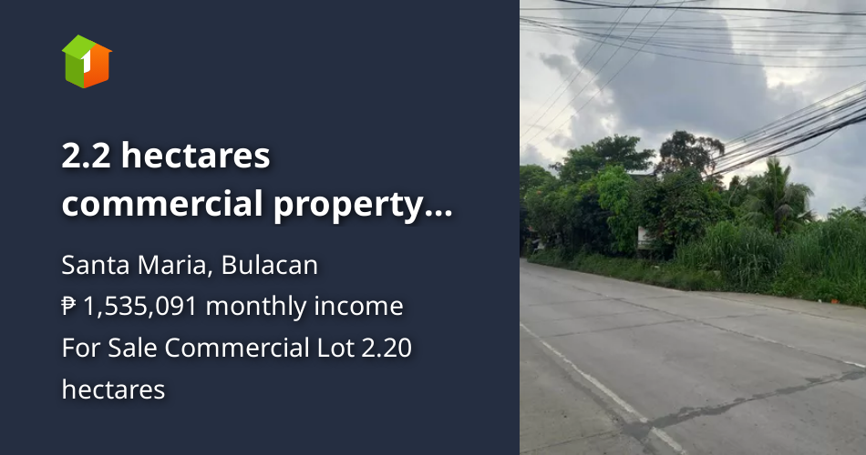 2.2 hectares commercial property lot for sale in santa maria bulacan