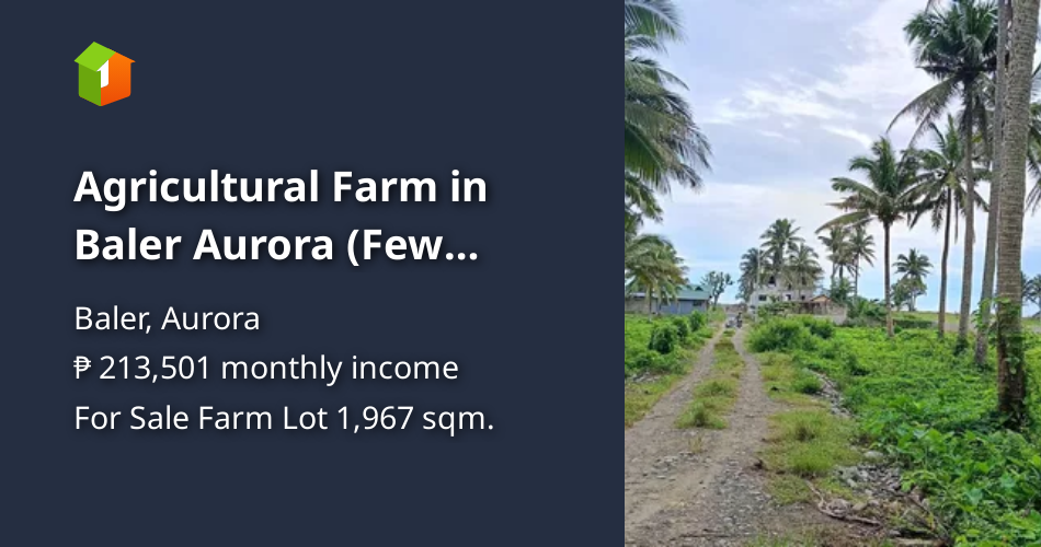 Agricultural Farm in Baler Aurora (Few meters from Beach) [Lot 🚜