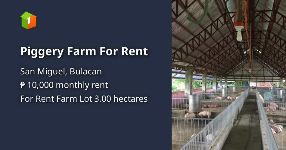 Piggery Farm For Rent [Lots 🚜] (December 2023) in San Miguel, Bulacan ...