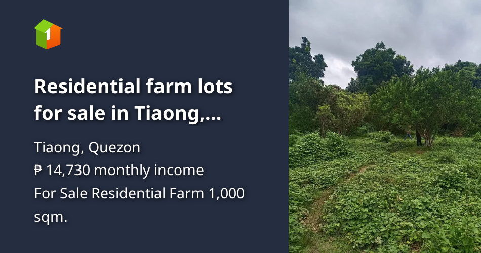 Residential farm lots for sale in Tiaong, Quezon [Lot 🚜] (October 2023