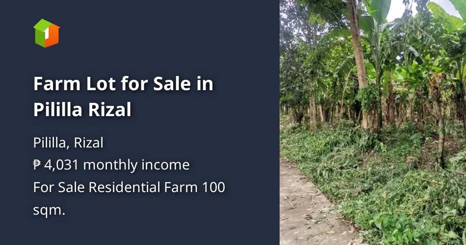 Farm Lot for Sale in Pililla Rizal [Lot 🚜] (June 2022) in Pililla