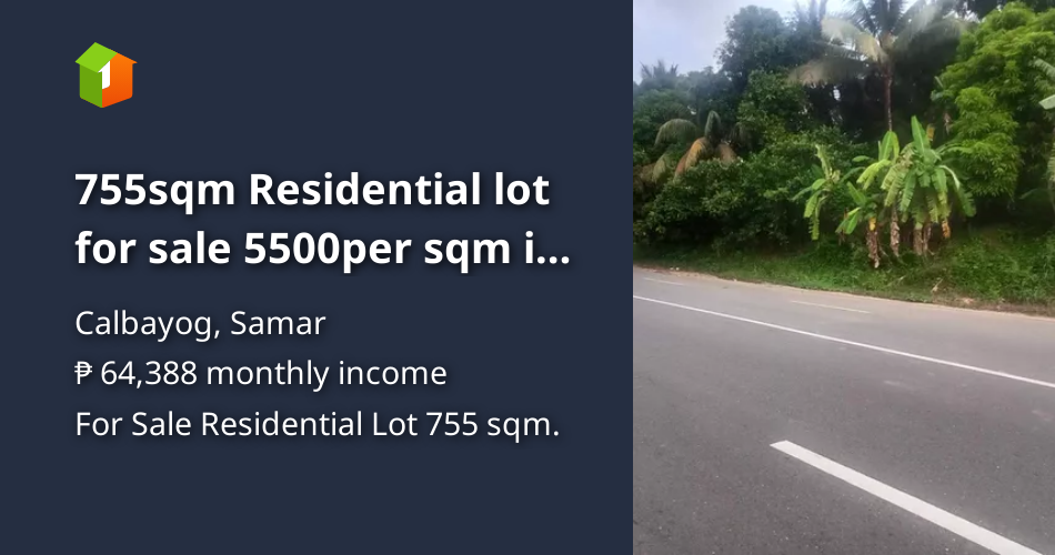 755sqm Residential lot for sale 5500per sqm in calbayog city samar [Lot