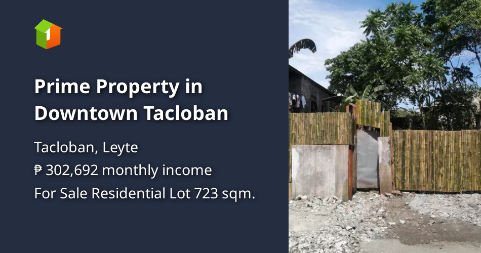 Prime Property in Downtown Tacloban [Lot 🚜] (February 2024) in Tacloban, Leyte for sale